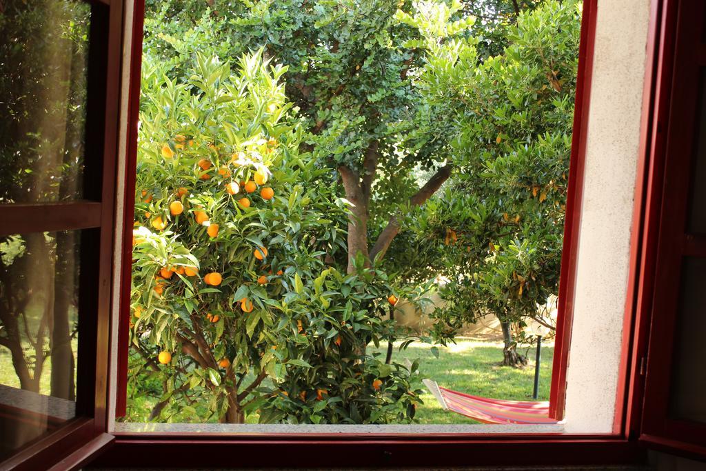 B&B I Mari Torpè Exteriér fotografie
