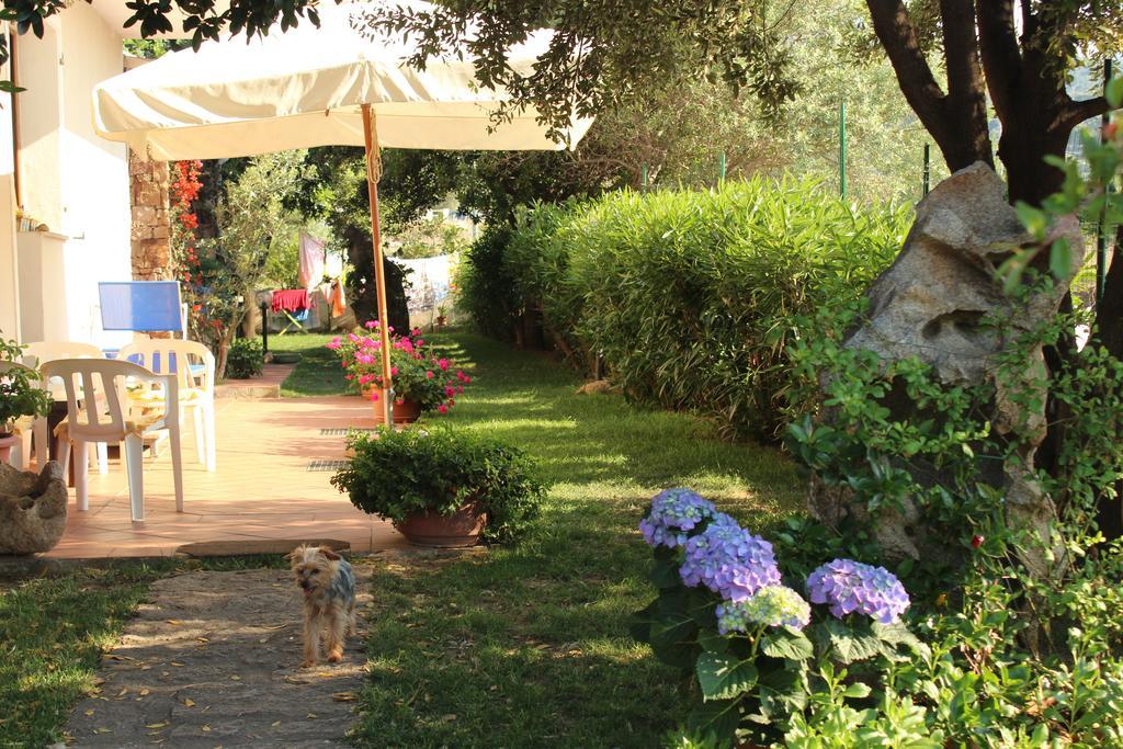 B&B I Mari Torpè Exteriér fotografie
