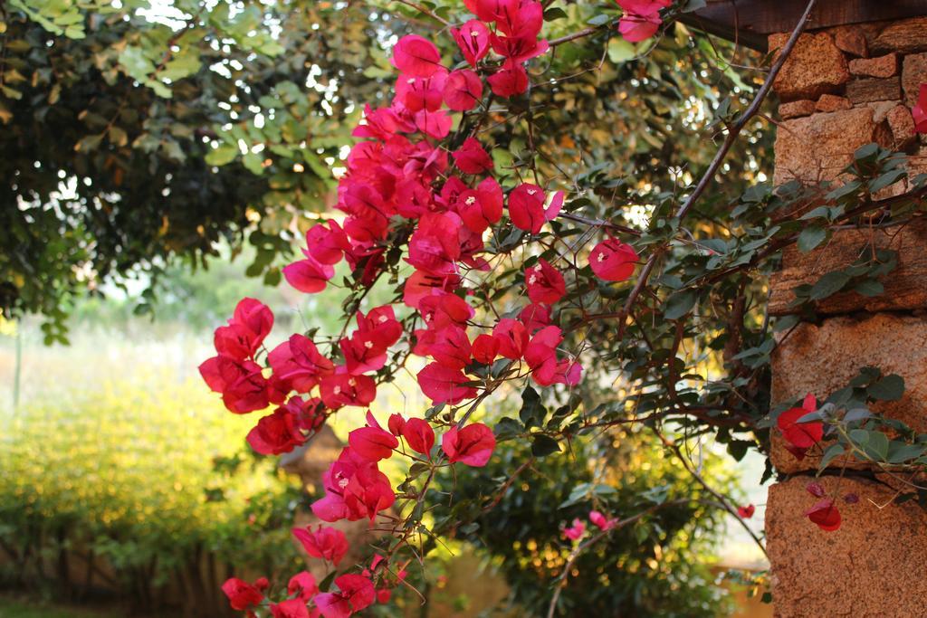 B&B I Mari Torpè Exteriér fotografie
